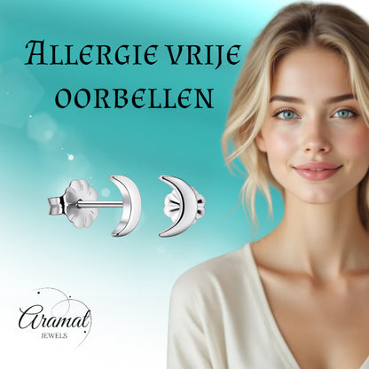 Boucles d'oreilles – Lune en titane couleur argent (8 mm)