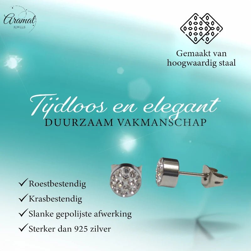 Zilverkleurige oorstekers met transparant kristal – 6 mm - oor3091 - Oorbellen kopen# - 6mm - alles - cadeau