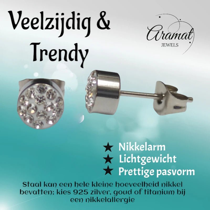 Zilverkleurige oorstekers met transparant kristal – 6 mm - oor3091 - Oorbellen kopen# - 6mm - alles - cadeau