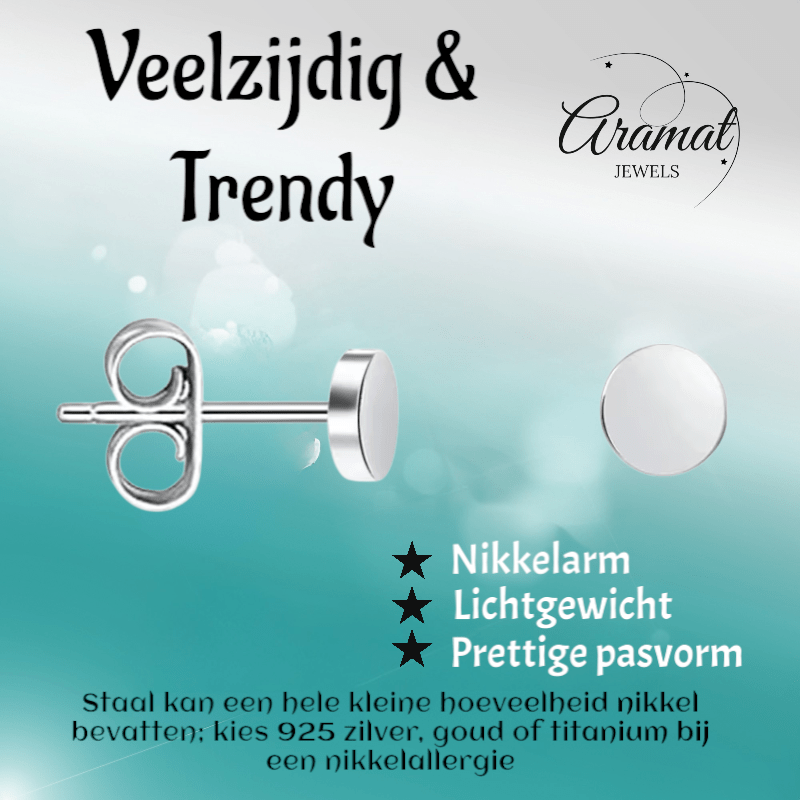 Zilverkleurige Ronde Oorstekers RVS 3mm - Aramat Jewels - Oorbellen - cadeautip