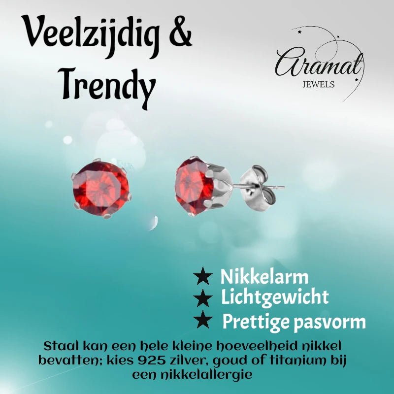 Zilverkleurige RVS Oorstekers met Rode Zirkonia - Rond - Aramat Jewels - Oorbellen - cadeautip