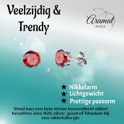 Zilverkleurige RVS Oorstekers met Rode Zirkonia - Rond - Aramat Jewels - Oorbellen - cadeautip