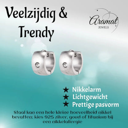 Zilverkleurige Stalen Oorringen - Met Zirkonia Steentje - oor5827 - se20009 - Oorringen kopen