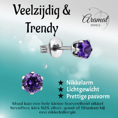 Zirkonia Oorbellen 4mm Paars RVS - Aramat Jewels - Oorbellen - cadeautip