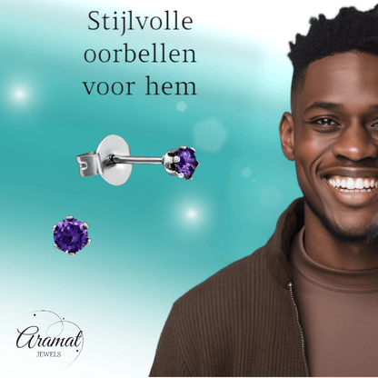 Zirkonia Oorbellen Paars – 3mm RVS - Aramat Jewels - Oorbellen - cadeautip