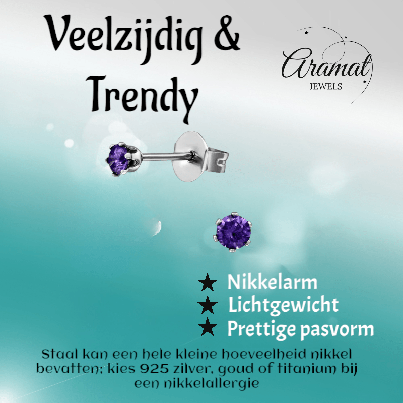 Zirkonia Oorbellen Paars – 3mm RVS - Aramat Jewels - Oorbellen - cadeautip