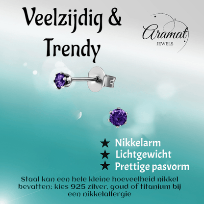 Zirkonia Oorbellen Paars – 3mm RVS - Aramat Jewels - Oorbellen - cadeautip