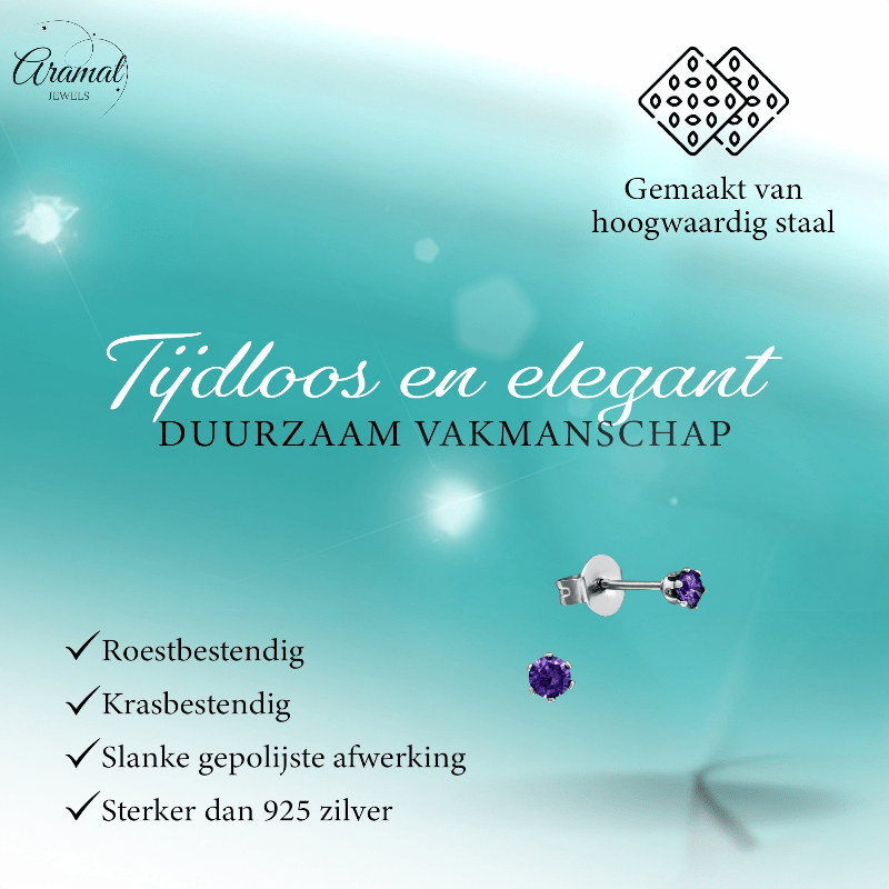 Zirkonia Oorbellen Paars – 3mm RVS - Aramat Jewels - Oorbellen - cadeautip