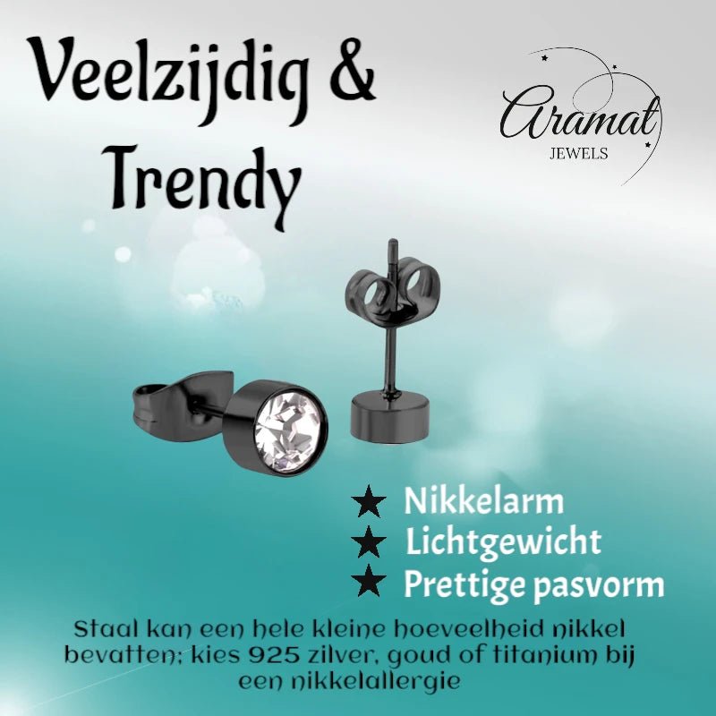 Zwarte Kristallen Oorbellen 5mm – Staal - oor3750 - Oorbellen kopen# - 5mm - alles
