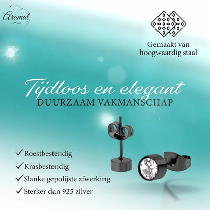 Zwarte Kristallen Oorbellen 5mm – Staal - oor3750 - Oorbellen kopen# - 5mm - alles