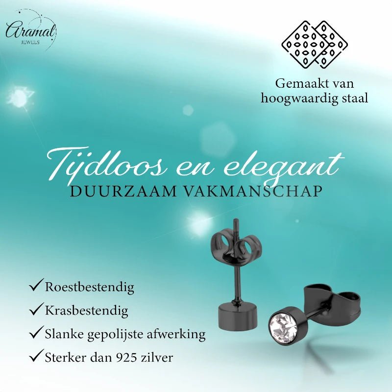 Zwarte Oorbellen met Kristal | 4mm Uniseks - oor3749 - Oorbellen kopen# - 4mm - alles